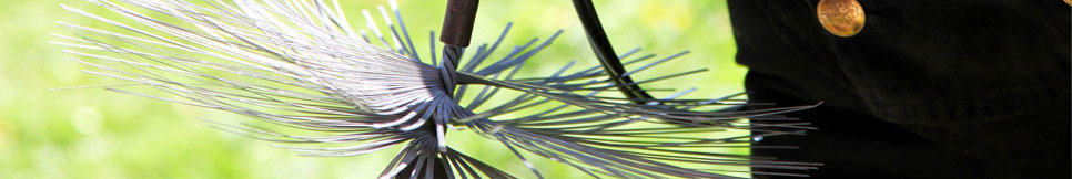 Banner - Wolfgang Vogel